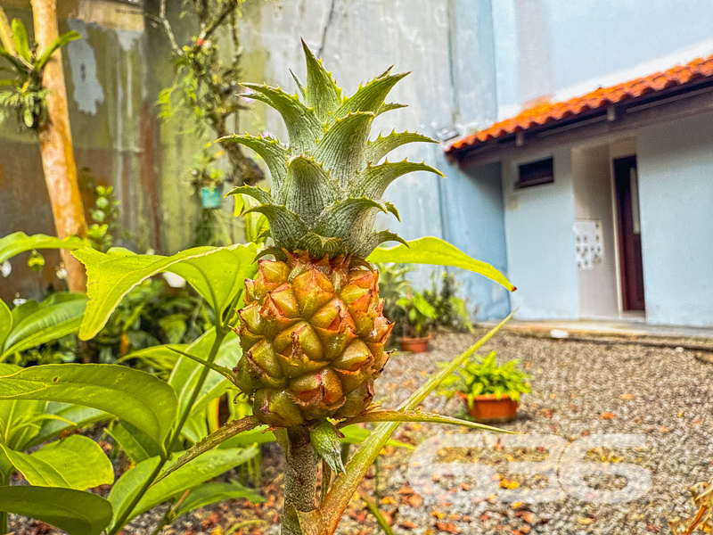 Residência - Saguaçu - Joinville