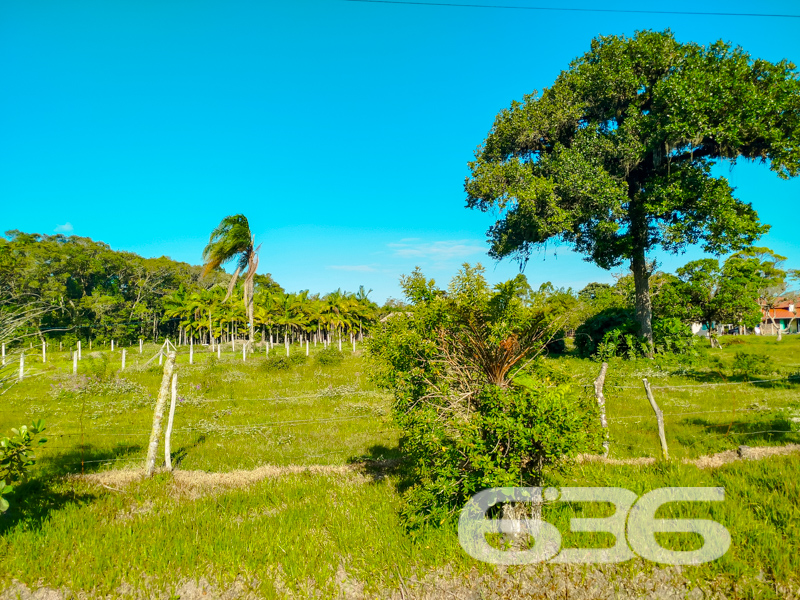 Terreno - Pinheiros - Balneário Barra do Sul