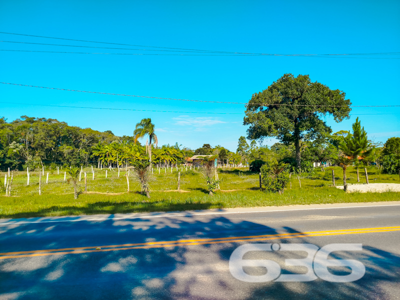Terreno - Pinheiros - Balneário Barra do Sul