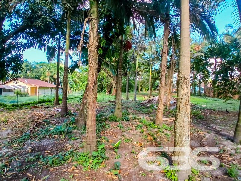 Terreno - Iperoba - São Francisco do Sul