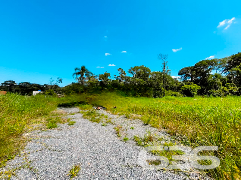 Terreno - Ervino - São Francisco do Sul