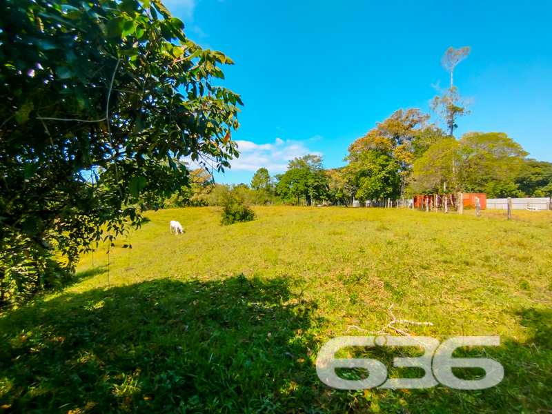 Terreno - Pinheiros - Balneário Barra do Sul