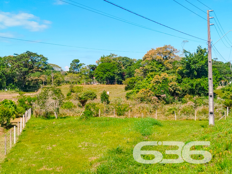 Terreno - Pinheiros - Balneário Barra do Sul