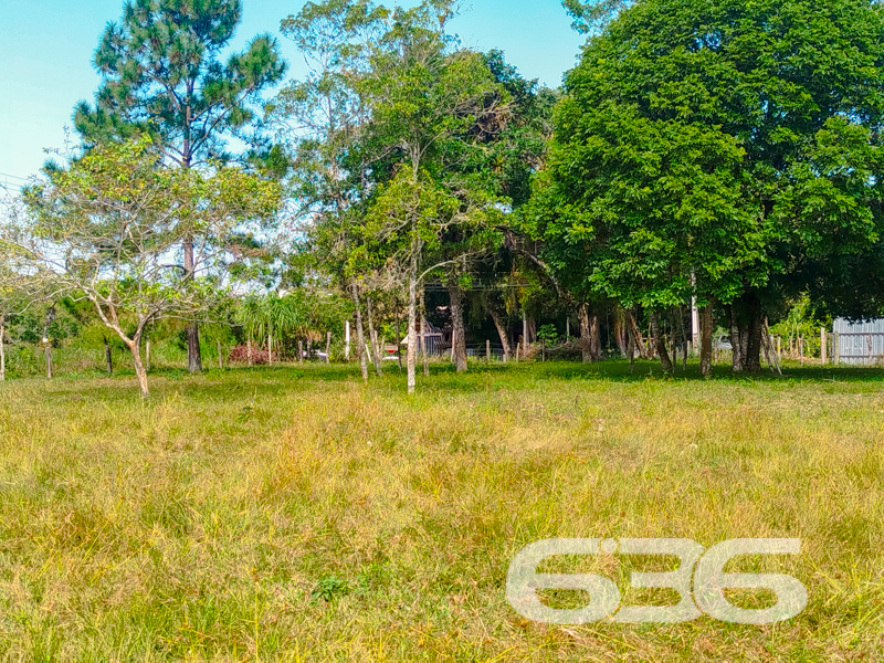 Terreno - Pinheiros - Balneário Barra do Sul