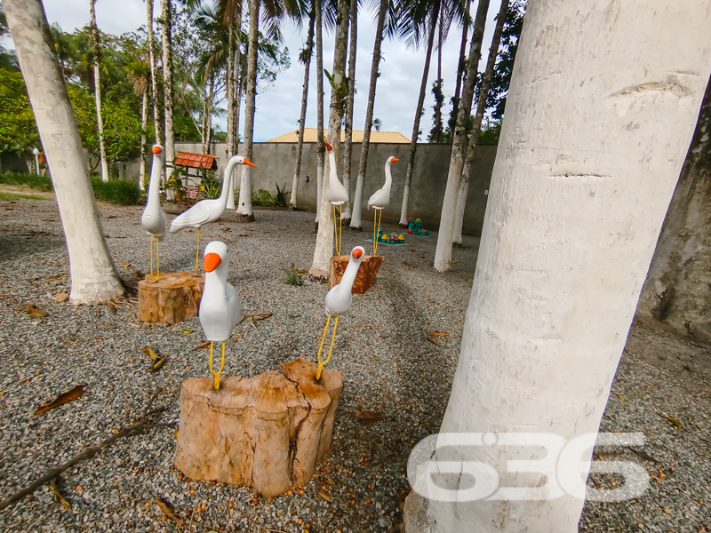 Chácara/Sítio - Conquista - Balneário Barra do Sul