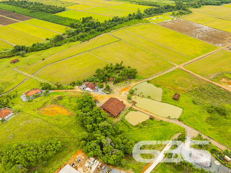 Chácara/Sítio - Vila Nova - Joinville