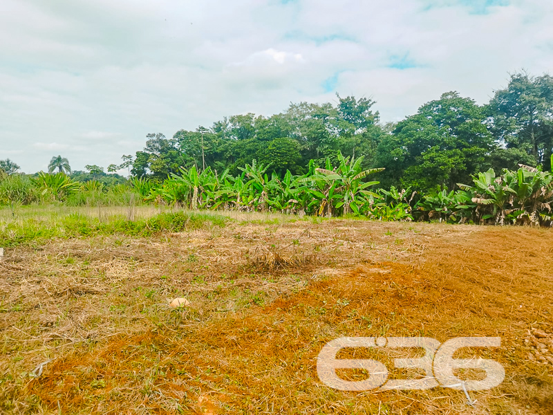 Terreno - Pirabeiraba - Joinville