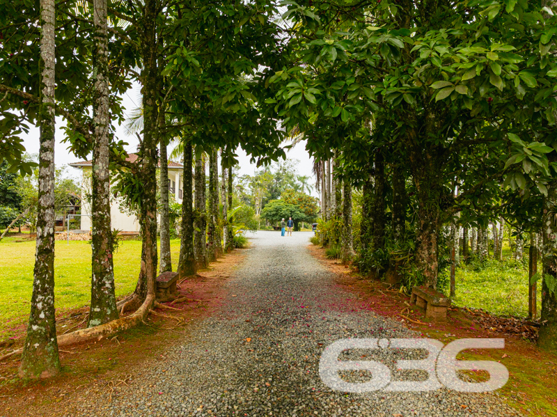 Chácara/Sítio - Vila Cubatão - Joinville