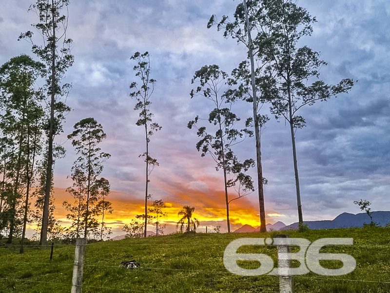 Terreno - Pirabeiraba - Joinville